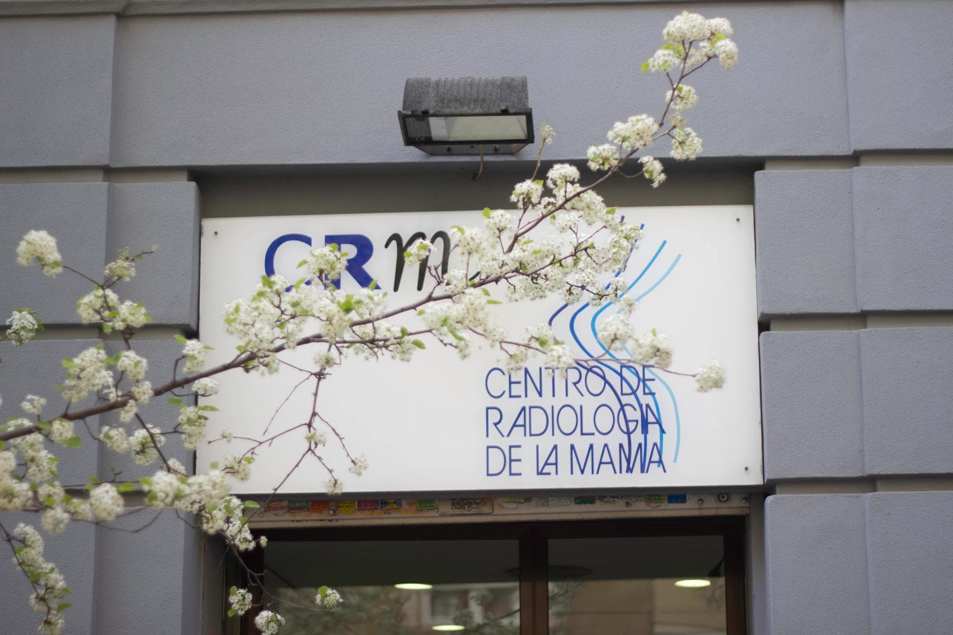 Ubicación CRMama